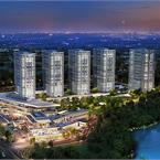 Kaşmir Mavi Orkide - 2