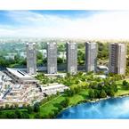 Kaşmir Mavi Orkide - 4