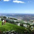 Başkent Emlak Konutları - 7